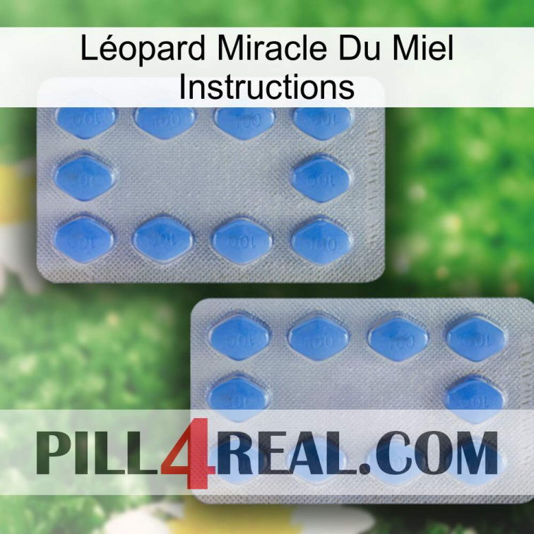 Léopard Miracle Du Miel Instructions 20
